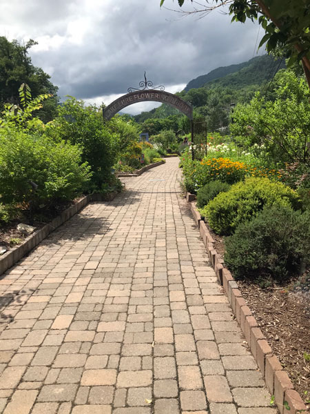 Lake Lure Flowering Bridge  entry